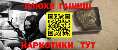 сатива Камышлов
