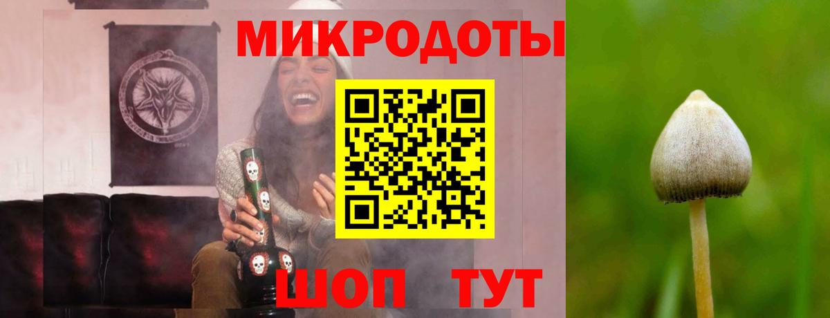 Псилоцибиновые грибы GOLDEN TEACHER  Галлюциногенные грибы MAGIC MUSHROOMS  Кузнецк  Вход с VPN 